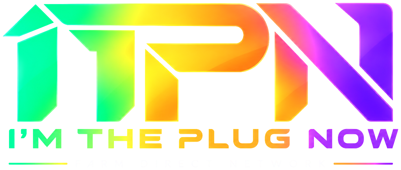 I'm The Plug Now