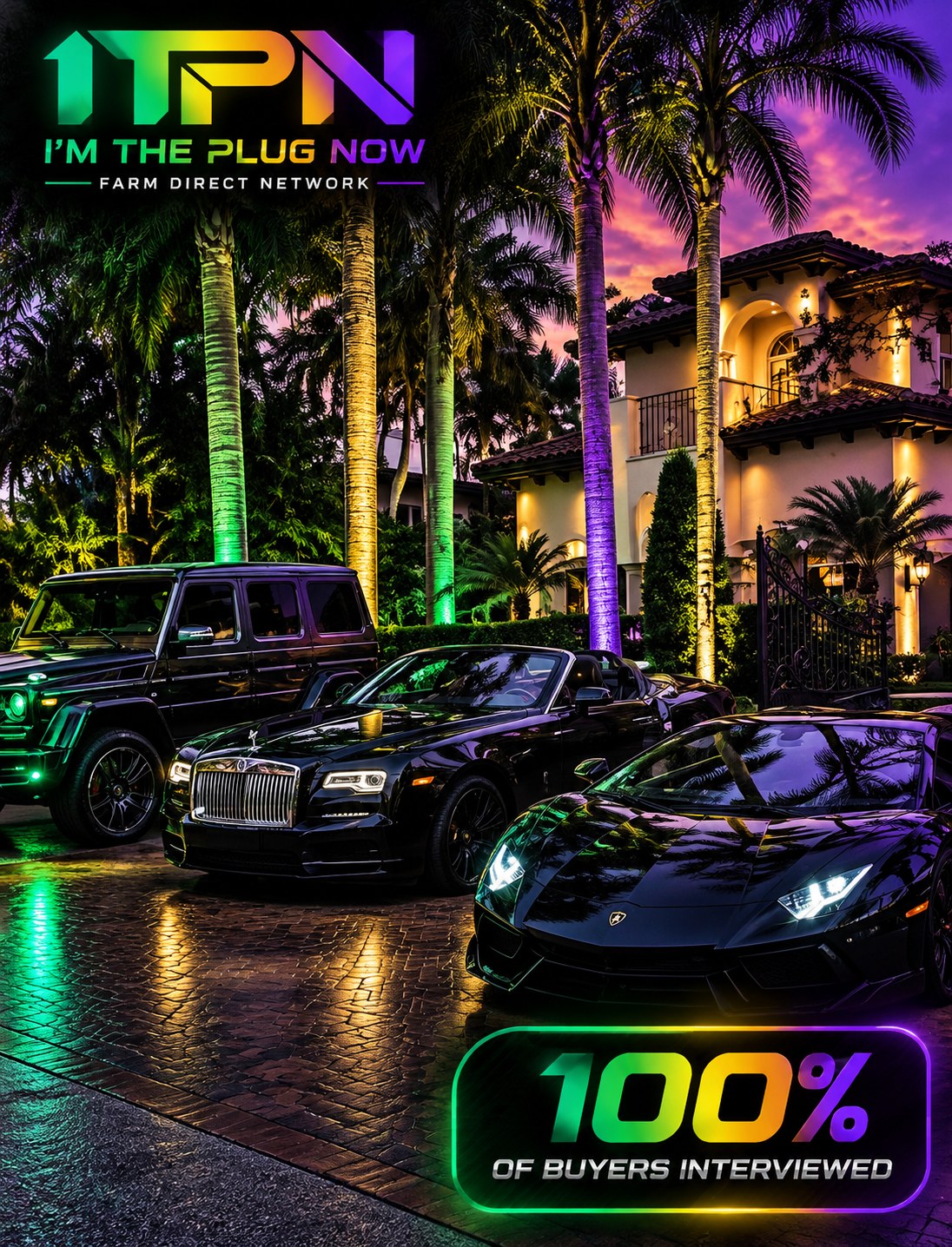 I'm The Plug Now - 100% of buyers interviewed